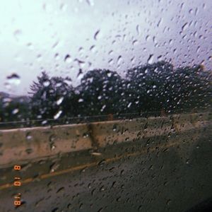 Meet your Posher, Ava